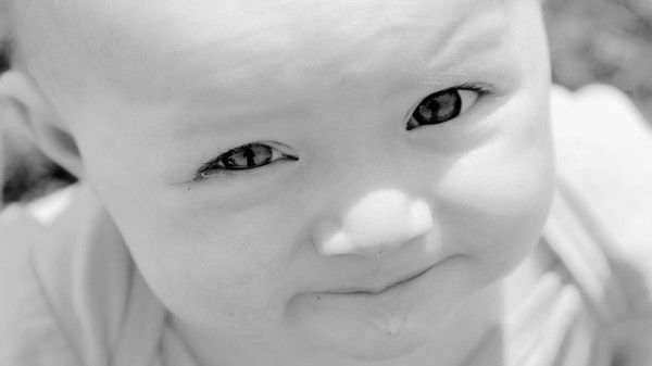 Олег Никитенко