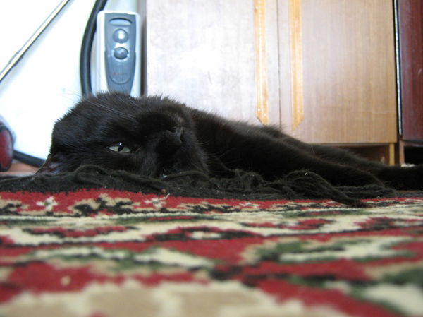 Ольга Михайлик