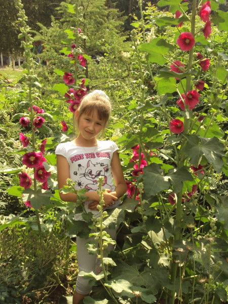 Азалия Гибадуллина