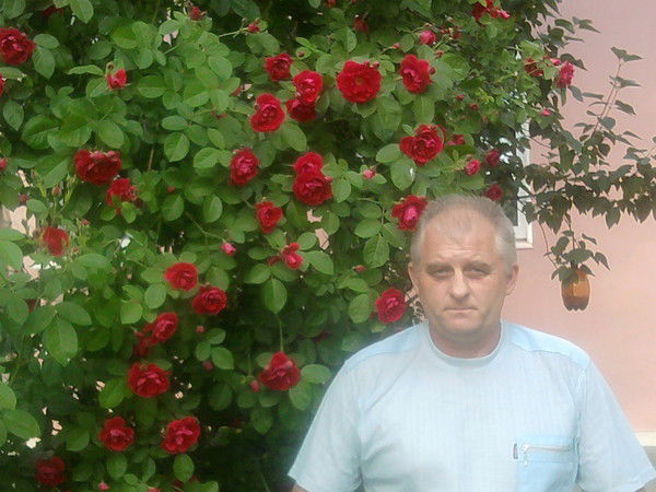 Станислав Колесников