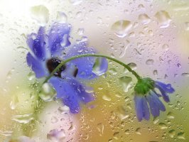 Анастасия Храмова