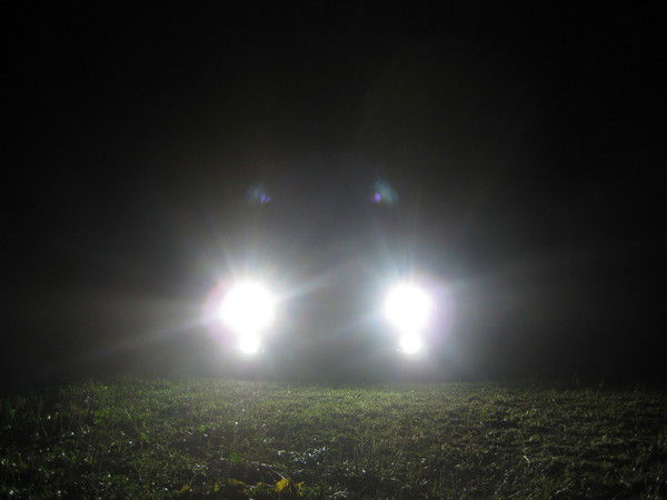 Алексей Гужва