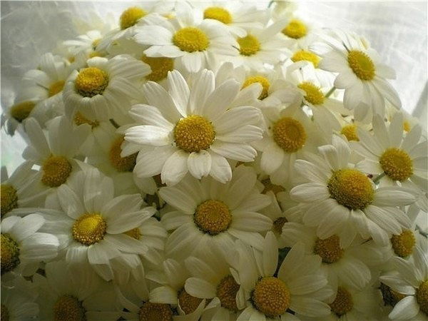 Гузель Солнышко Cчастливая