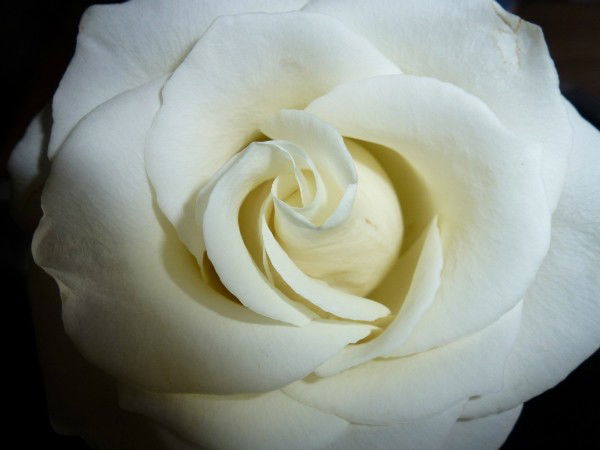 Маша Мишина