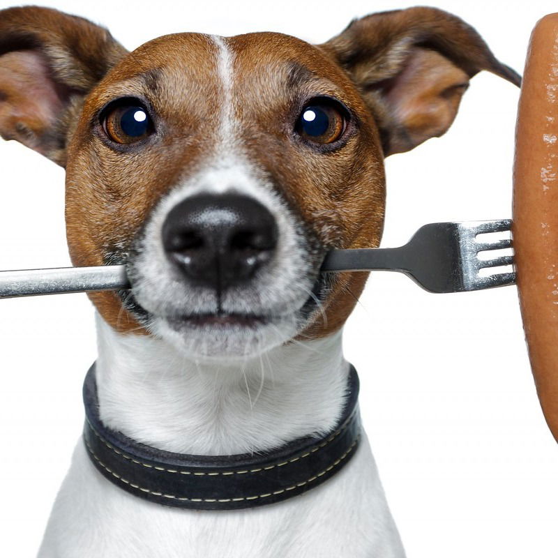 Дима Иваненко