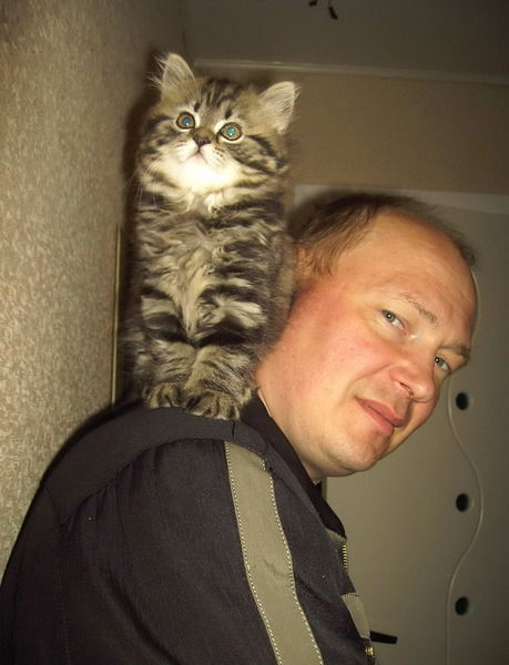 Виктор Шубин