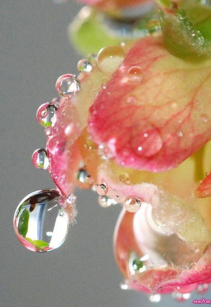 Гульнара Копытова