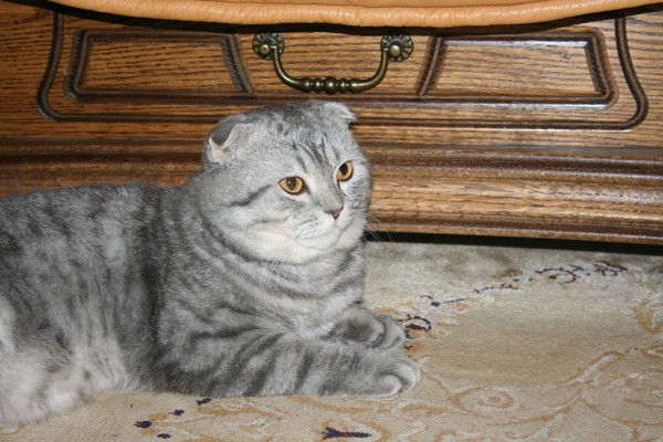 Макарова Наталья