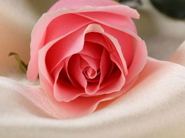 Лаура Есмаханова