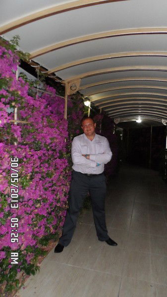 Александр Степанкин