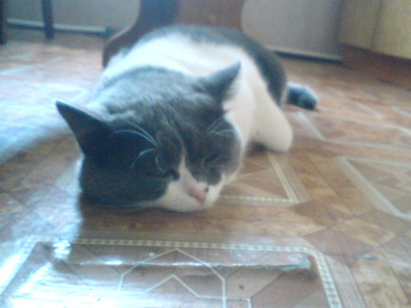 Сергей Борзов