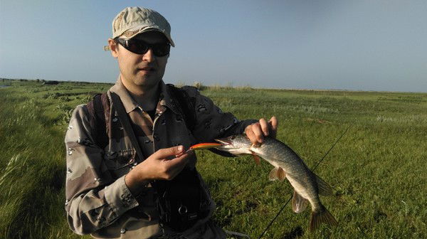 Александр Резник