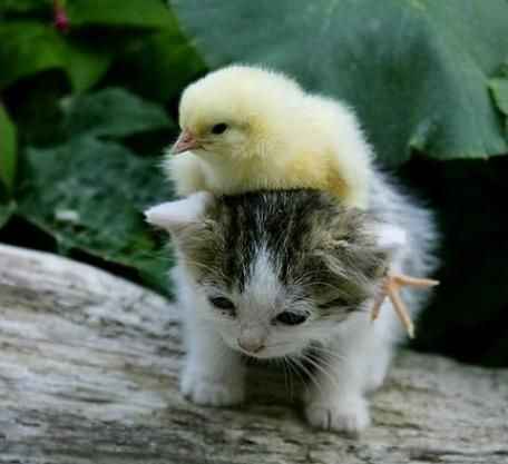 Veroni4Ka35 Токарь