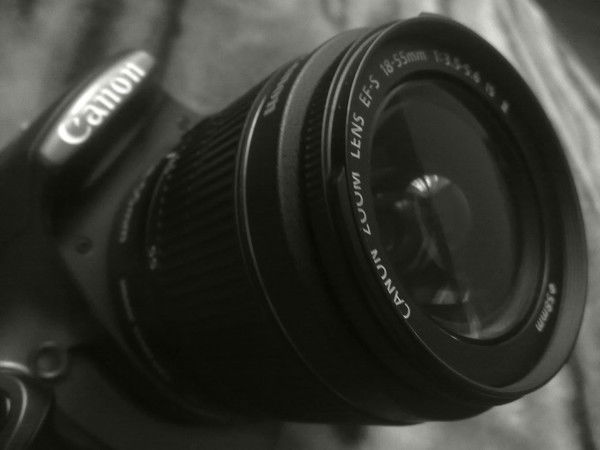 Тамара Ардавова