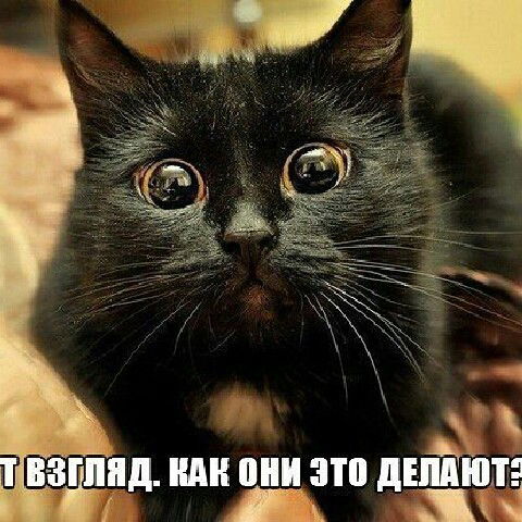 Елена Иванова