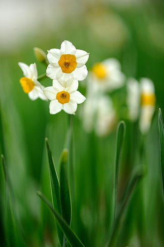 Больница Больница