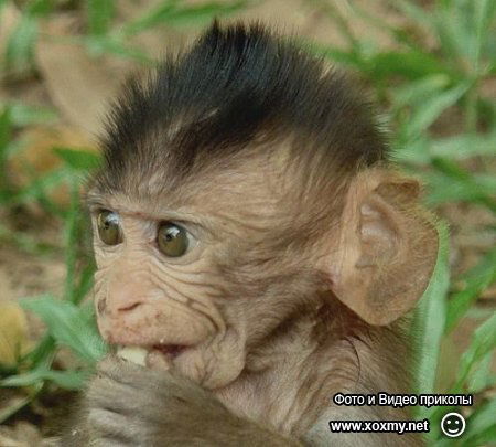 Роман Щербаков