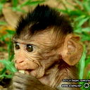 Роман Щербаков