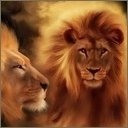 Канат Касымбеков