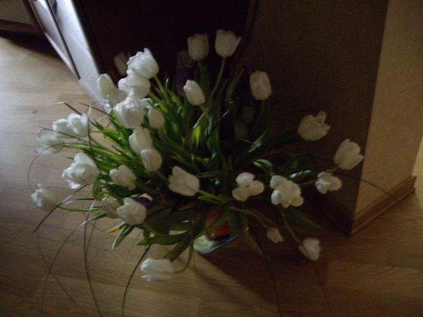 Елена Ефимова