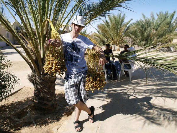 Дмитрий Гурьев