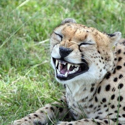 Санёк Сирота