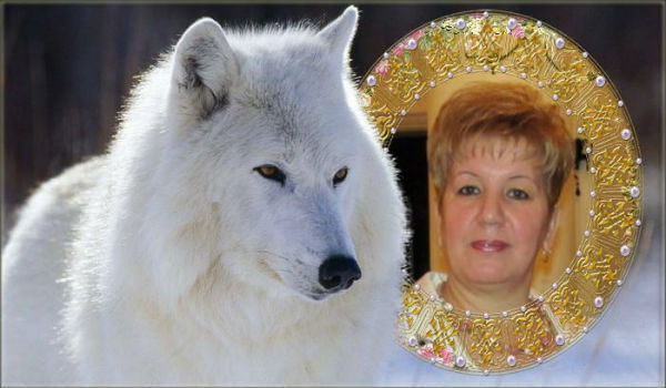 Елена Катаева