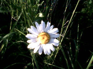 Ксения Садакова