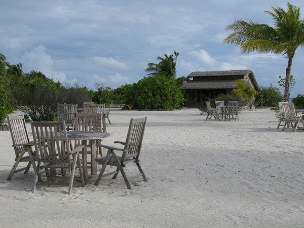 Евгения Орлова