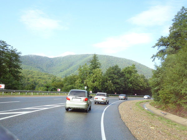 Андрей Домарев