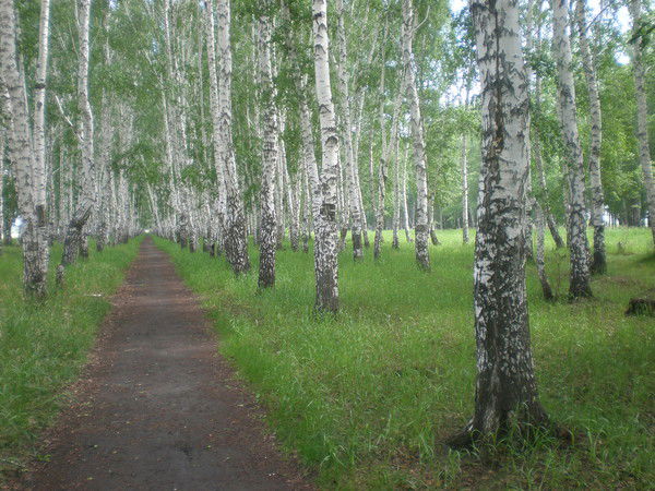 Пименов Вячеслав