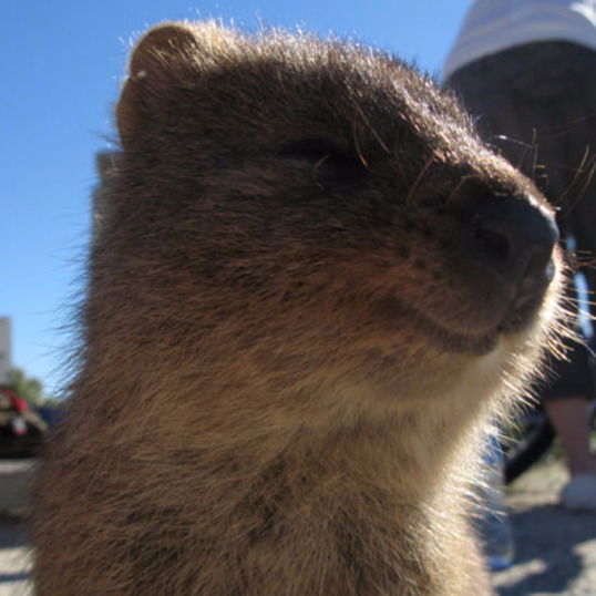 Любовь Андрианова