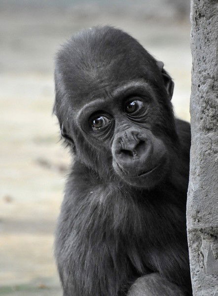 Константин Бобырев