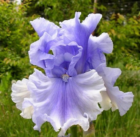 Светлана Цымбал