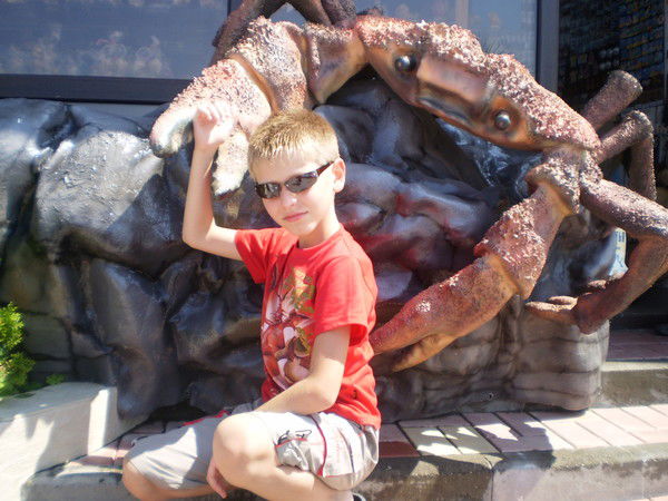 Максим Обанин