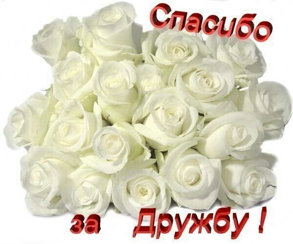 Гулзинат Елеусинова