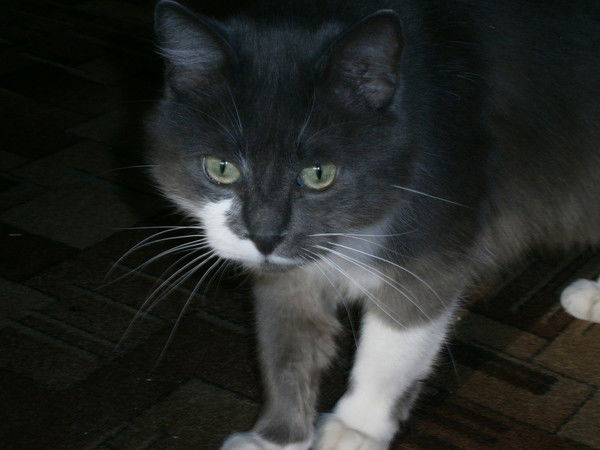 Елена Захаркина