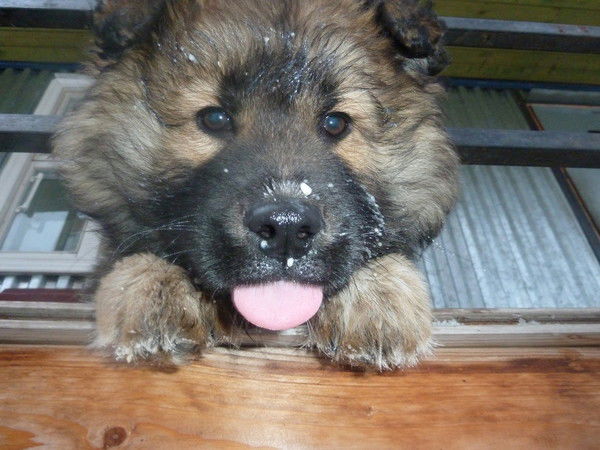 Елена Анатольевна