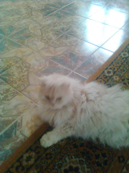 Сергей Коротунов