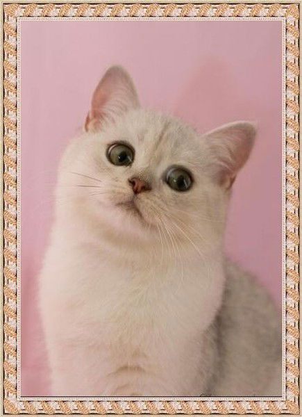 Фания Малышева