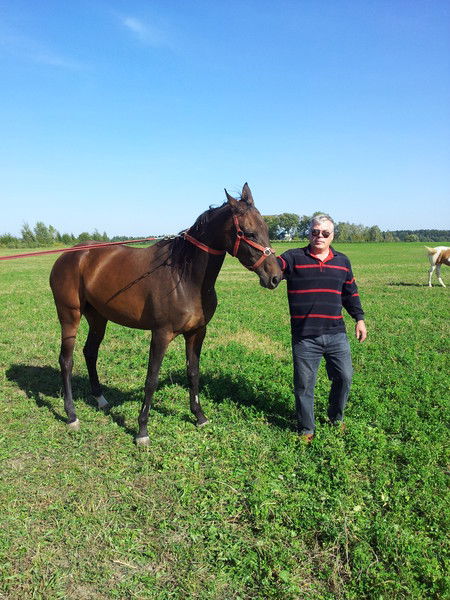 Николай Николайчик