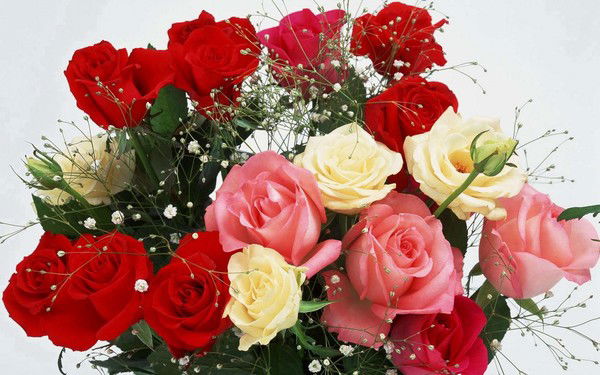 Асемкуль Шарипова