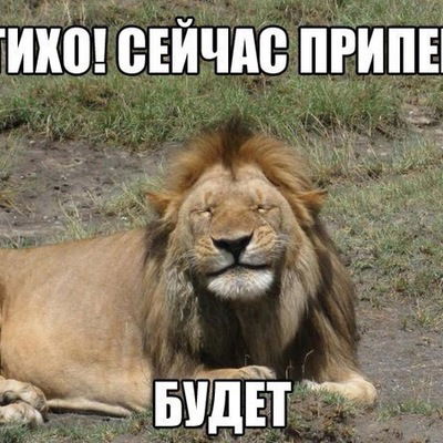 Эцилоп Балконский