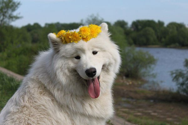 Анастаcия Гогина