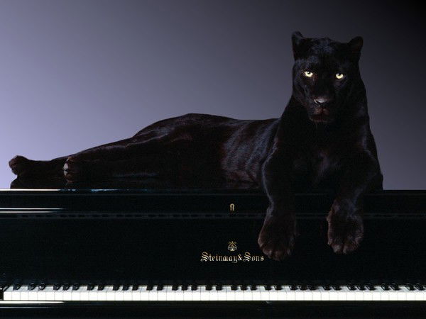 Настя Маркова