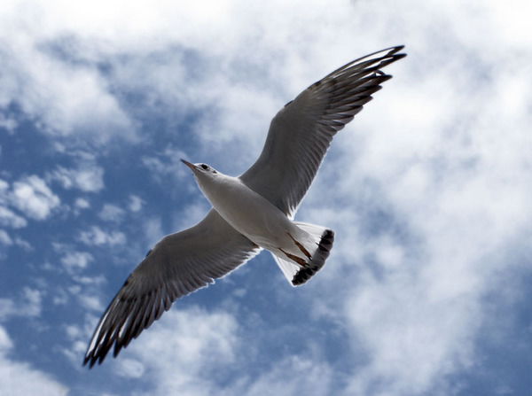 Ильдар Асадуллин