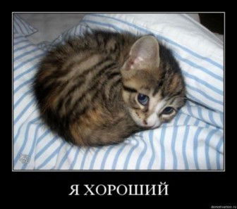 Альбина Милосердова