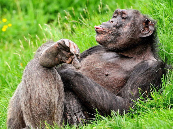 Александр Зубов