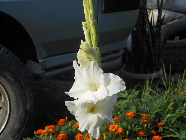 Утебаева Таня