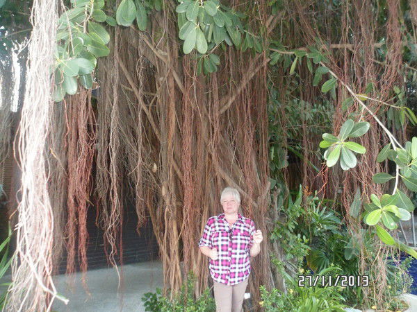 Татьяна Скопина